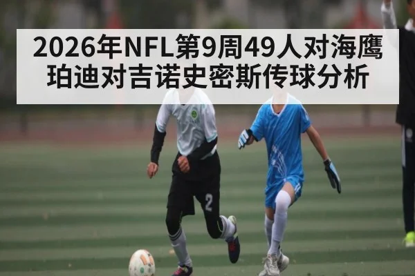 2026年NFL第9周49人对海鹰珀迪对吉诺史密斯传球分析